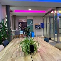 A dining table with a plant on top of it in the foyer area at Pavilion Dance