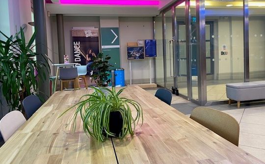 A dining table with a plant on top of it in the foyer area at Pavilion Dance