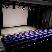 Purple seats in a theatre layout facing a cinema screen